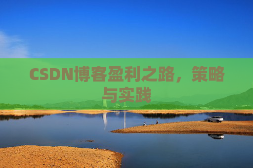 CSDN博客盈利之路,策略与实践